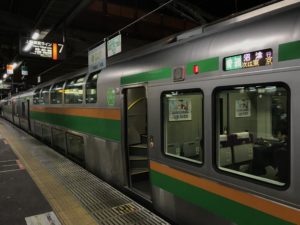 関東大回りの旅【1枚のグリーン券で乗継特例を使うと快適に？！】