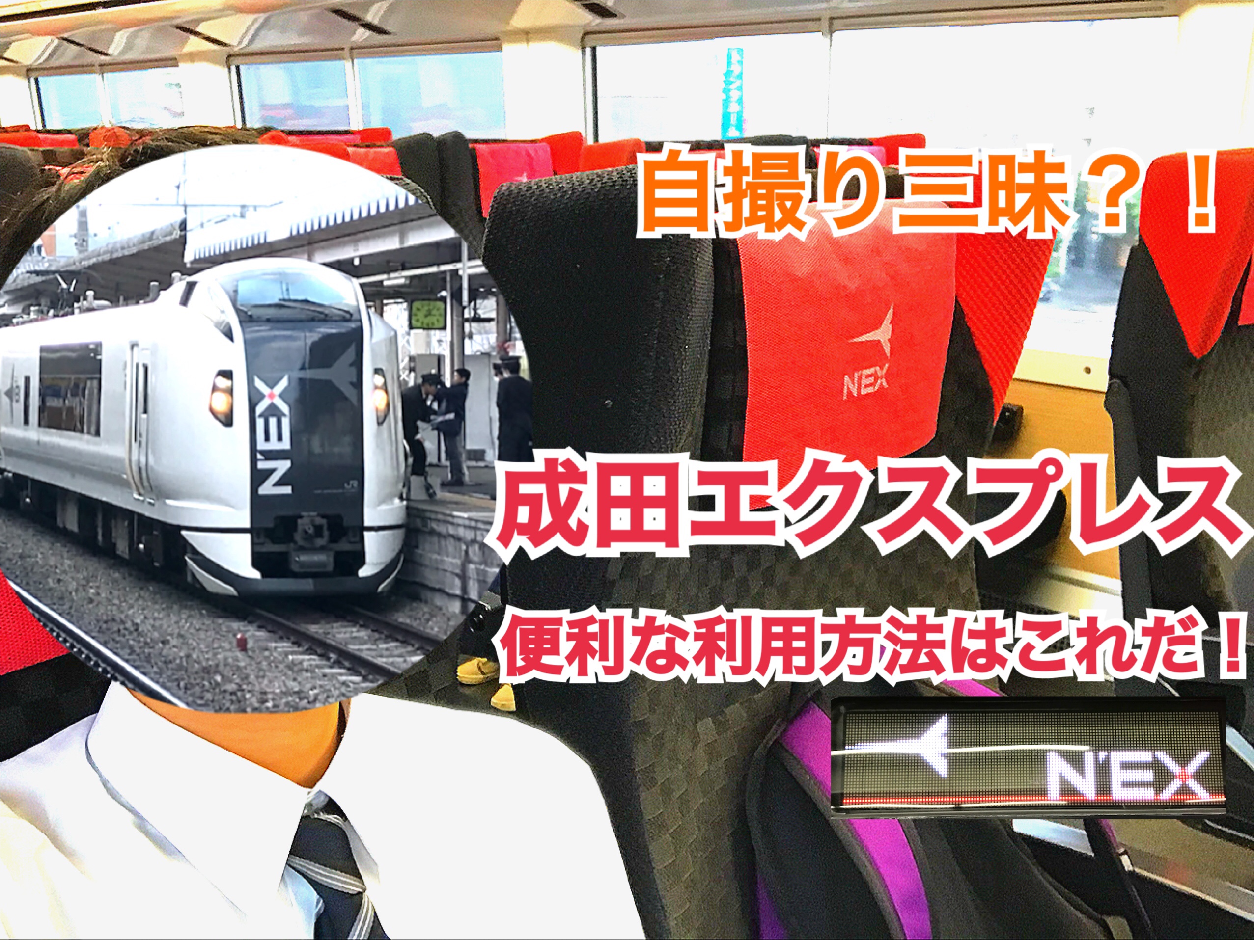 【成田エクスプレス】ガラガラの成田エクスプレスは新幹線乗換には便利！