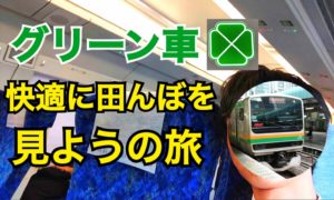 宇都宮線をグリーン車で快適に！関東平野の意外な特徴とは？【夏の東日本紀行2019】