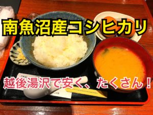 越後湯沢駅で南魚沼産コシヒカリをお腹いっぱい！オススメのお店を紹介！【日帰り新潟ツアー】