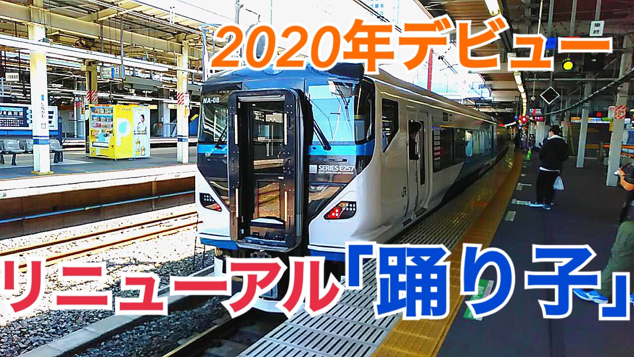 2020年デビュー！E257系リニューアル踊り子号に乗車！【常磐線運転再開の旅】