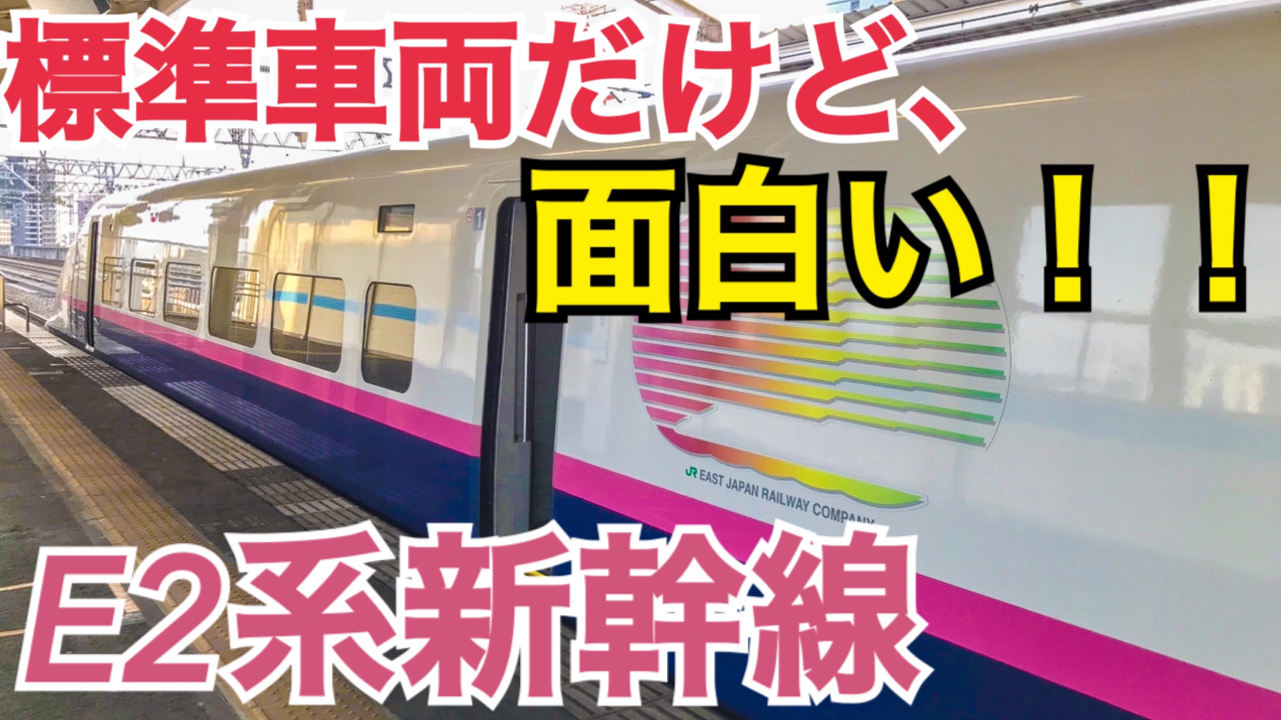 角度90度の座席！？コンセントがないことも！JR東日本E2系新幹線をご紹介！【茨城魅力発見の旅】