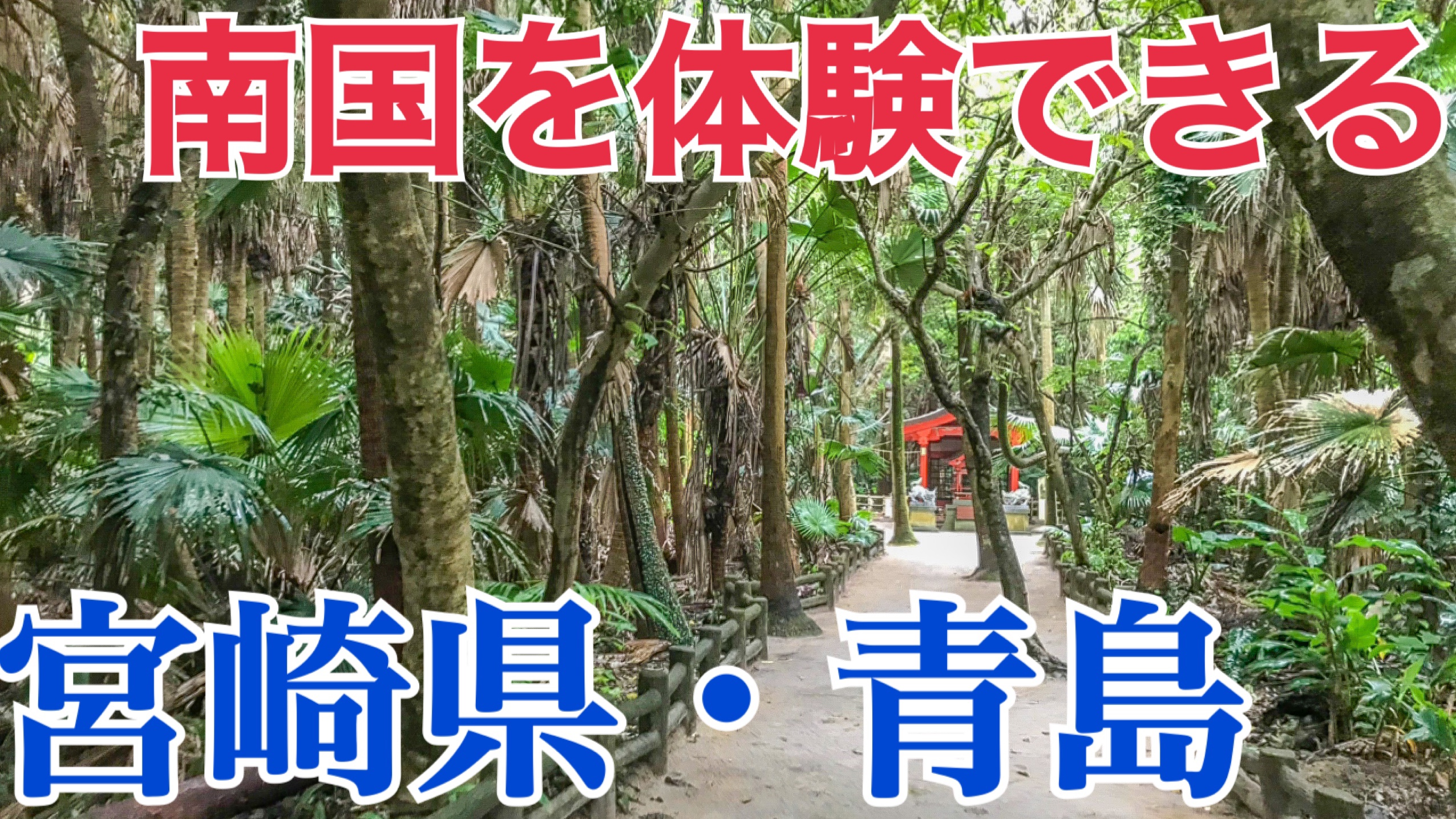 手軽な南国気分！宮崎県の青島を観光！なぜここで熱帯の植物が！？【ぐるっと北部九州の旅2021】
